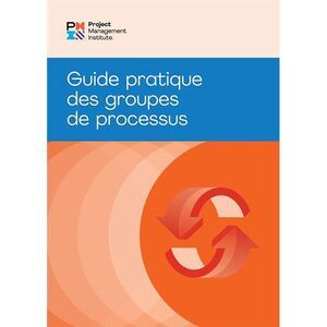 Process Groups: A Practice Guide (French) -- Pmi